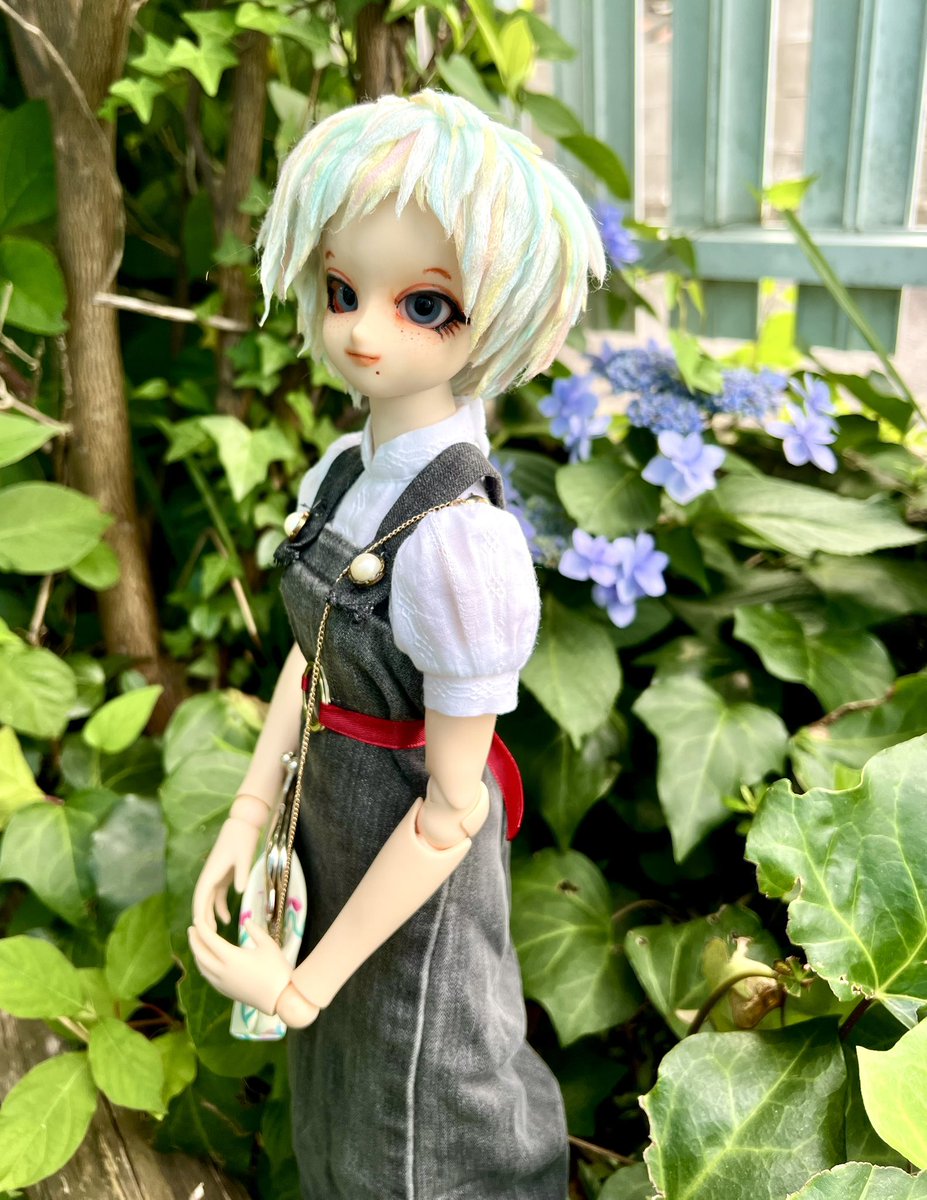 ざいまる@ドールとかぬいとか tweet media