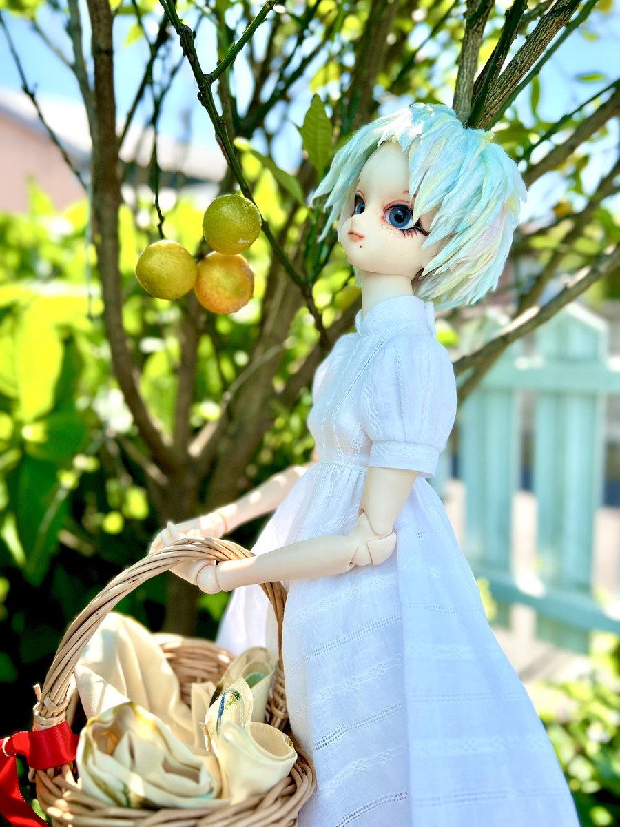 ざいまる@ドールとかぬいとか tweet media