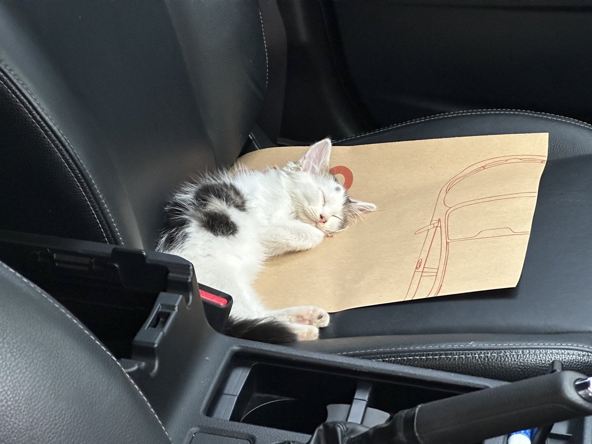 Eza Hazami - ハザミ。エザ tweet media