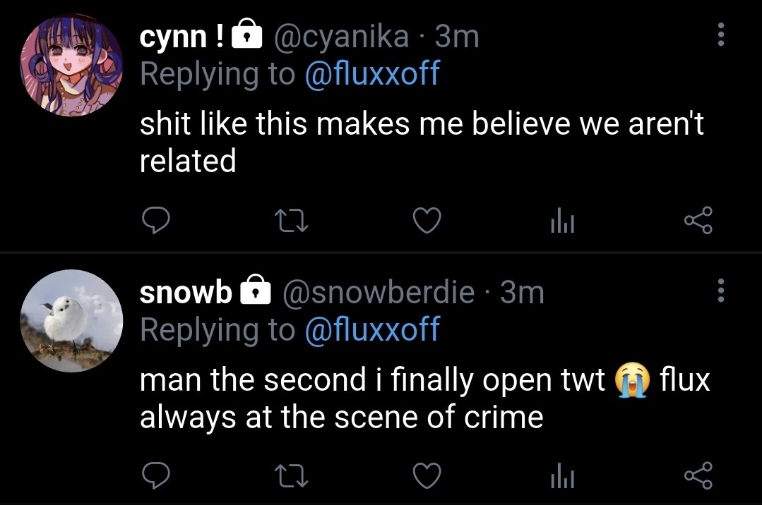 ꒰🐇꒱ Mellory #1 𝓢𝓱𝓪𝓻𝓹𝓵𝓸𝔀 𝔂𝓾𝓻𝓲 𝓯𝓪𝓷 tweet media