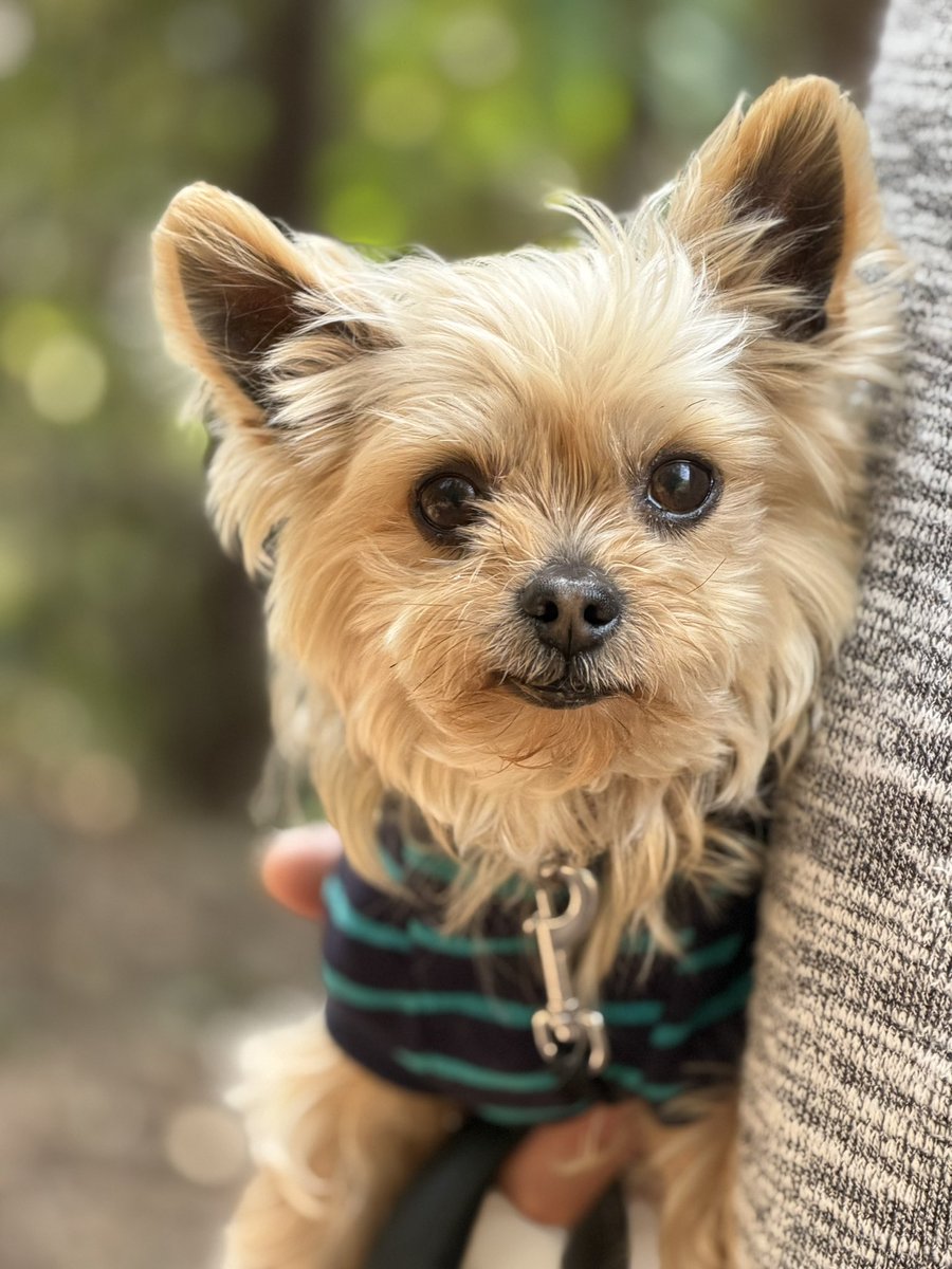 れおまま tweet media