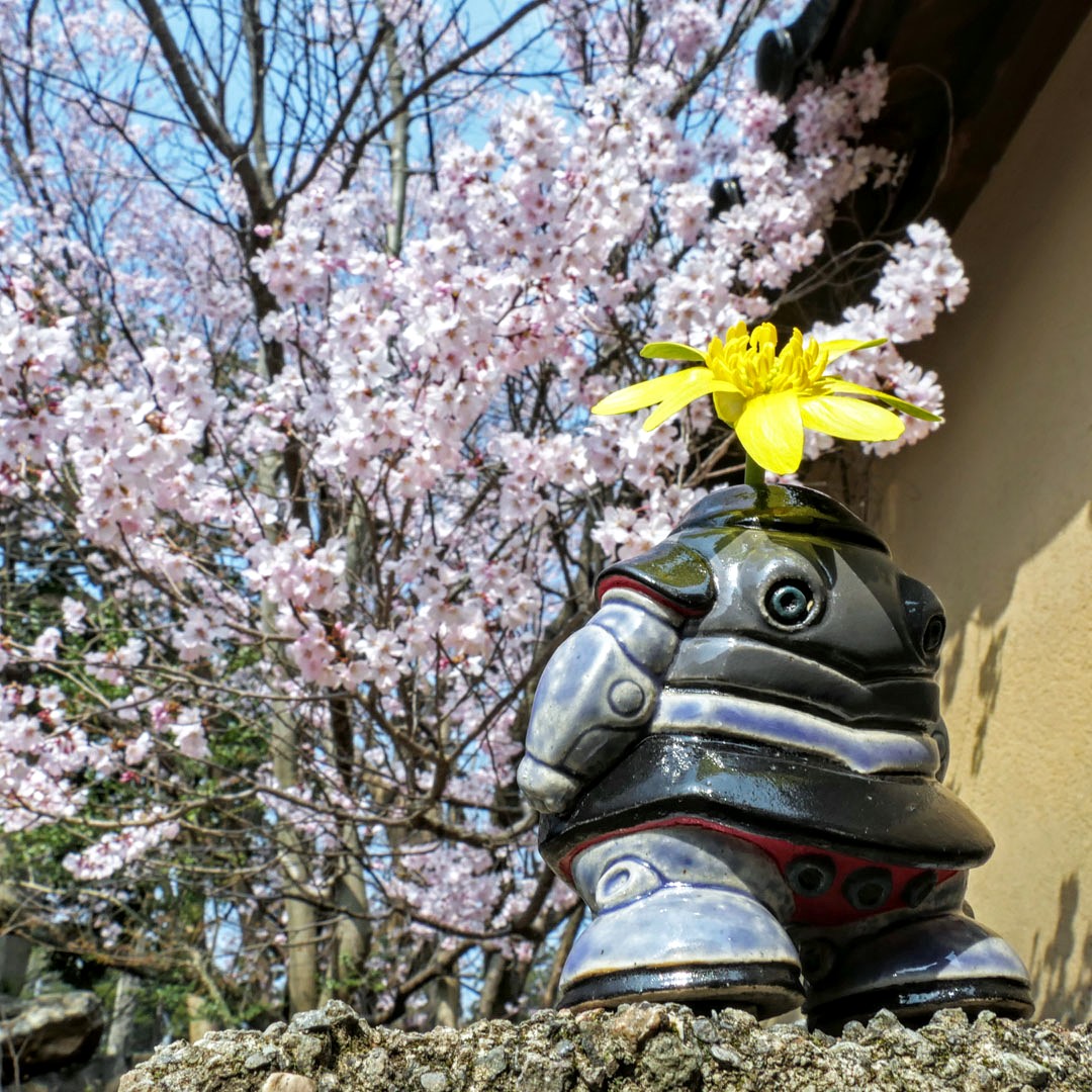 セラミミック tweet media