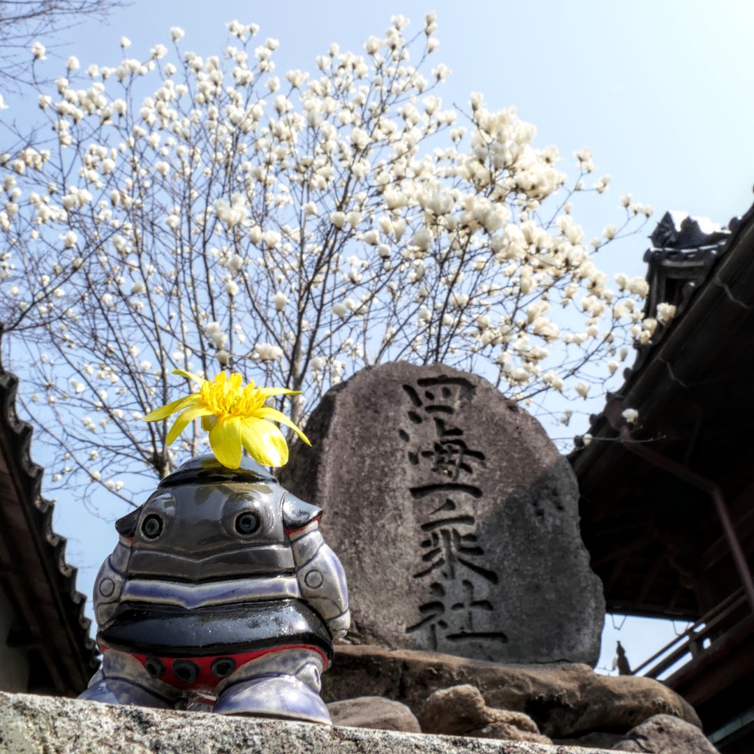 セラミミック tweet media