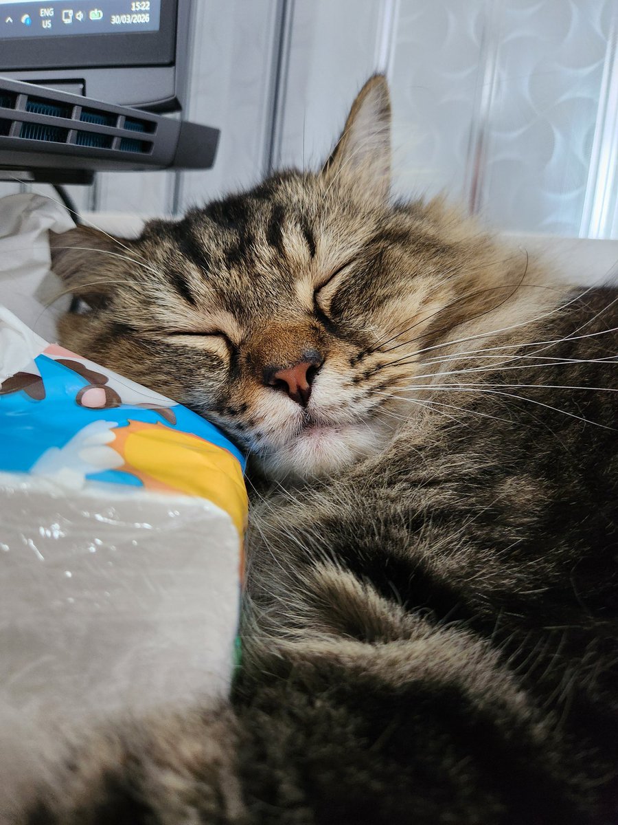 Kevin Mulia tweet media