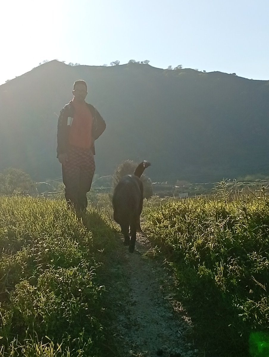 elle Ramona tweet media