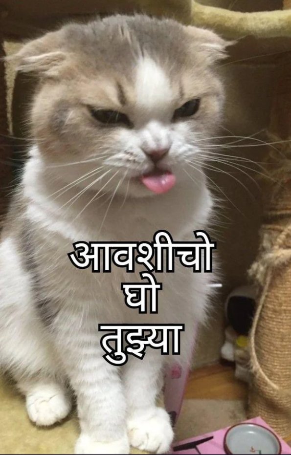 dasyuslayer tweet media