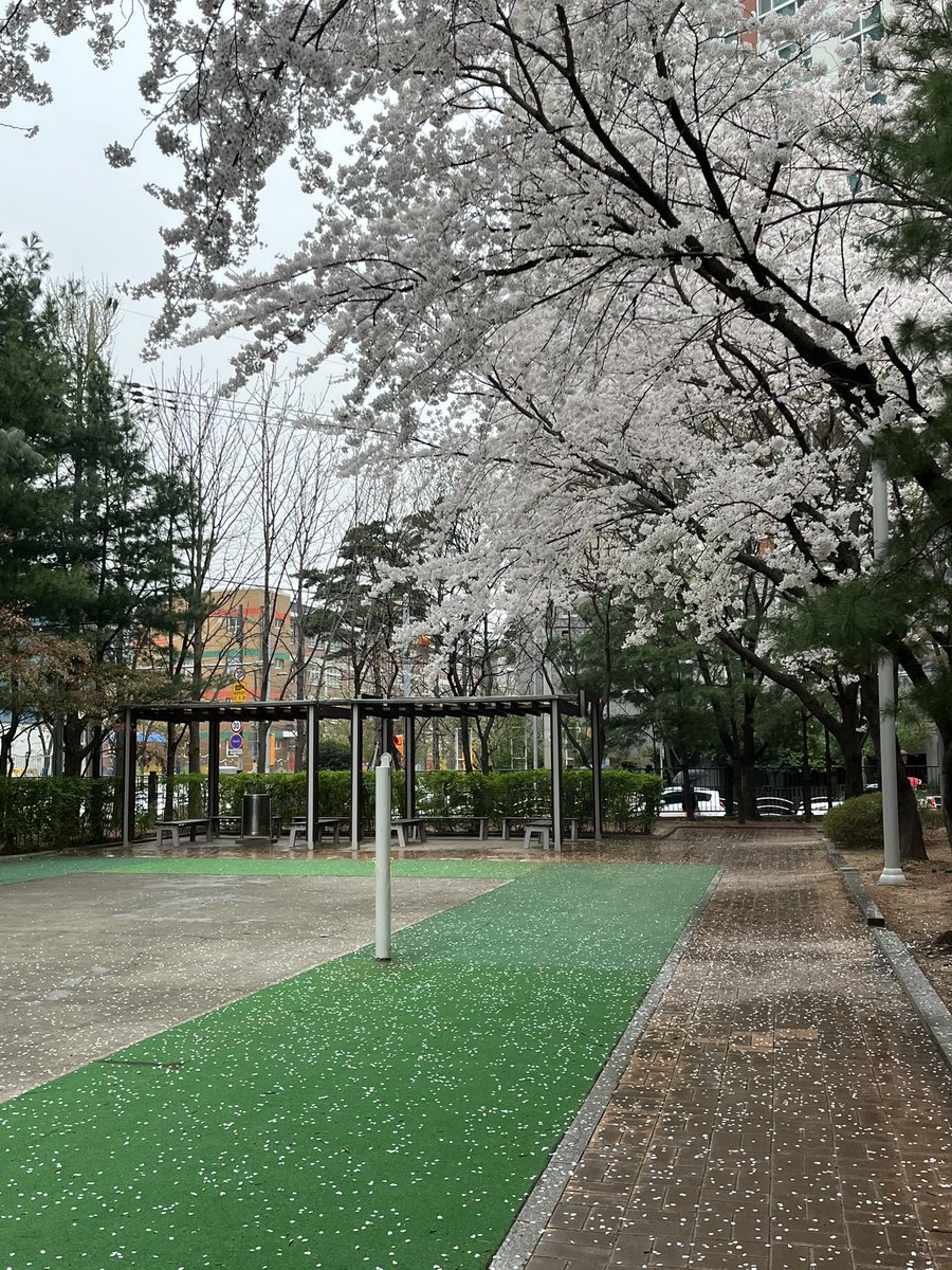잉구 tweet media