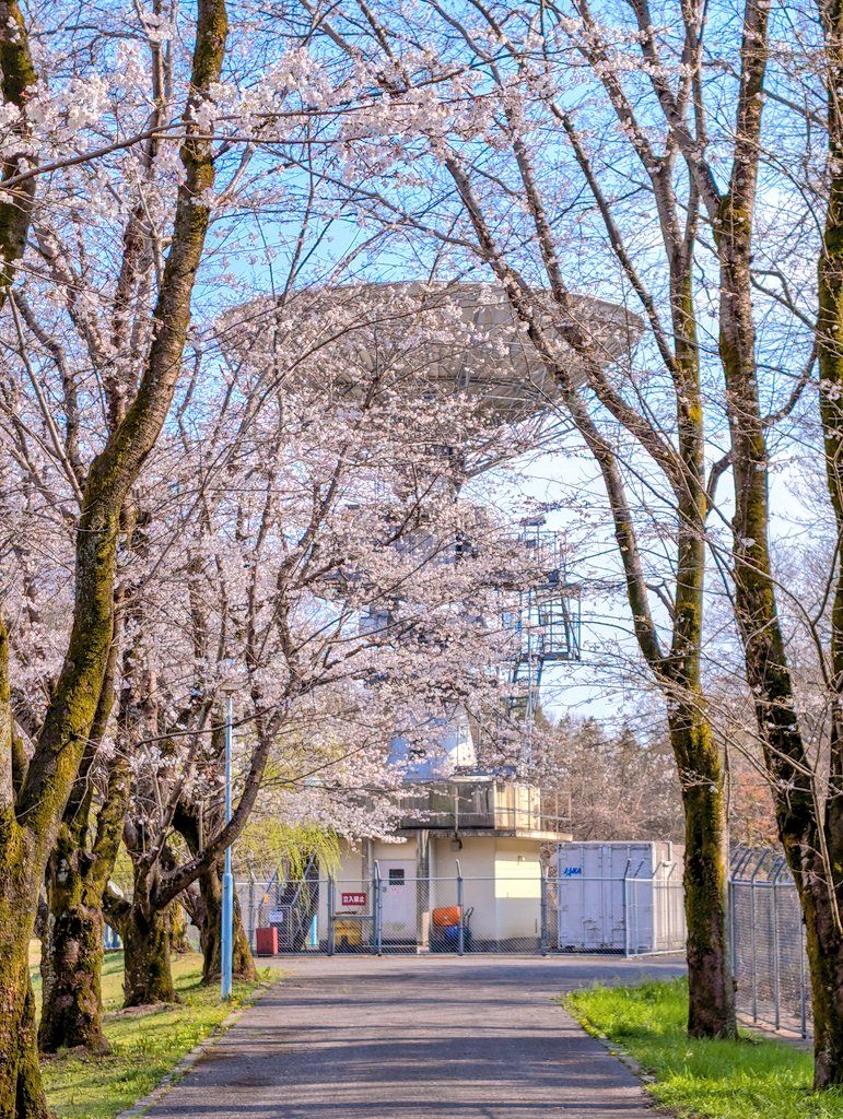 あっさらしい～！ tweet media