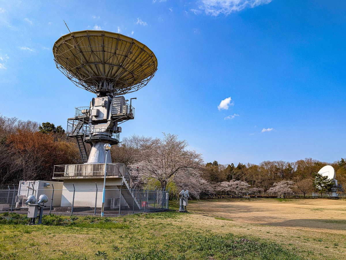 あっさらしい～！ tweet media