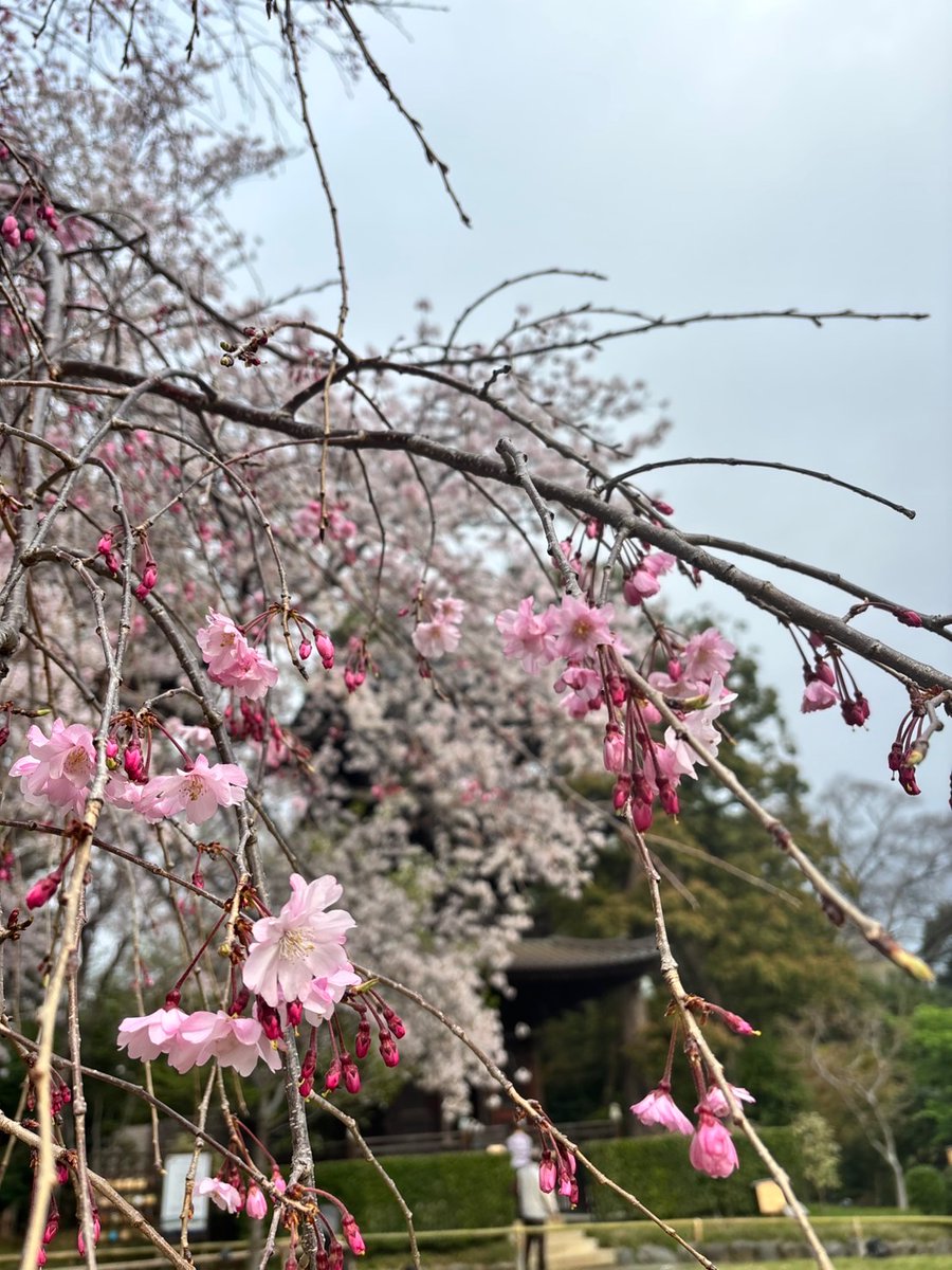 ホテル椿山荘東京 tweet media