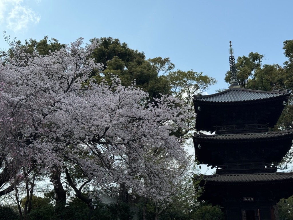 ホテル椿山荘東京 tweet media