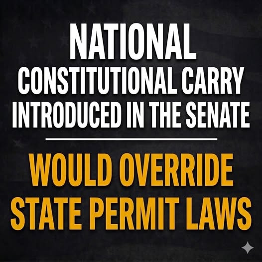 Bulldog_onsite's tweet photo. The new Constitutional Carry bill would allow Americans who can legally possess a firearm to carry concealed nationwide without a permit, overriding state carry permit systems. If passed, it would make constitutional carry the national standard. https://t.co/9XR9NfGRhm