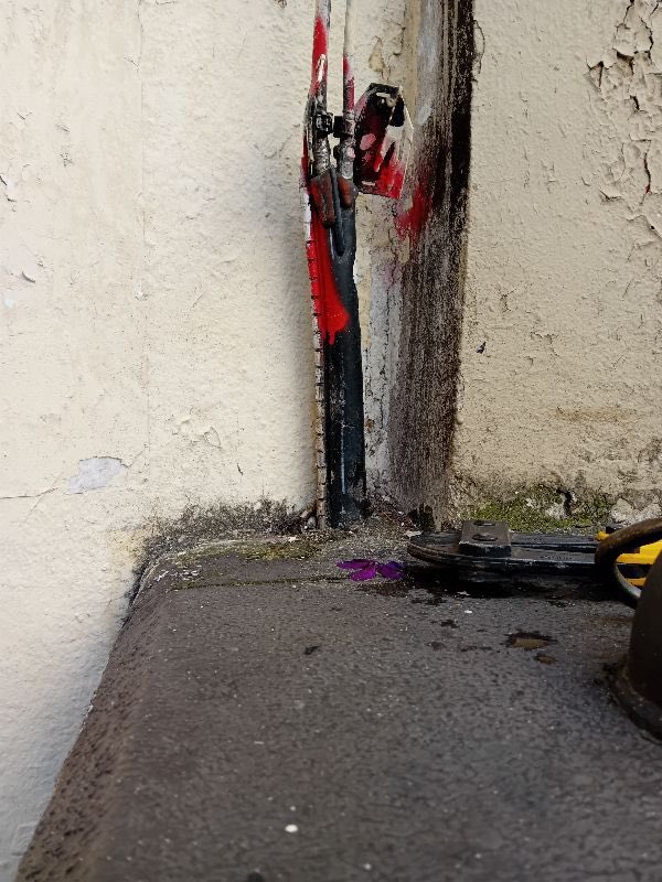 macinside tweet media