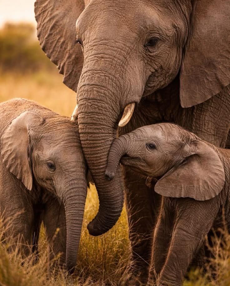 JulieParker144's tweet image. In whom we have #redemption through his blood, the forgiveness of sins, according to the riches of his grace;   #Bible