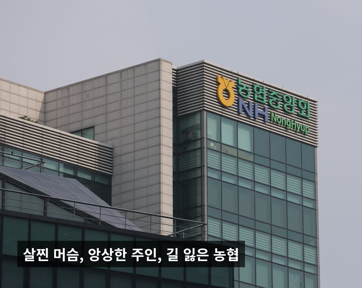 피렌체의 식탁 tweet media