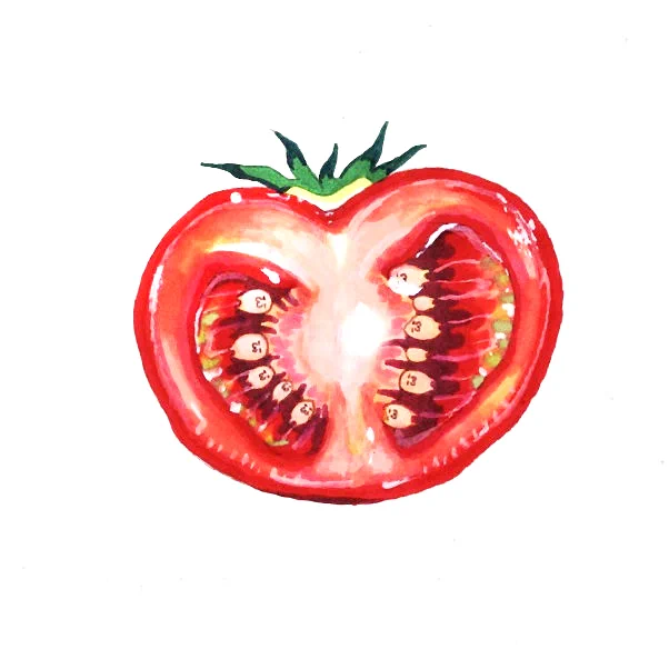 トマトが好き #荒巻スカルチノフ #イラスト