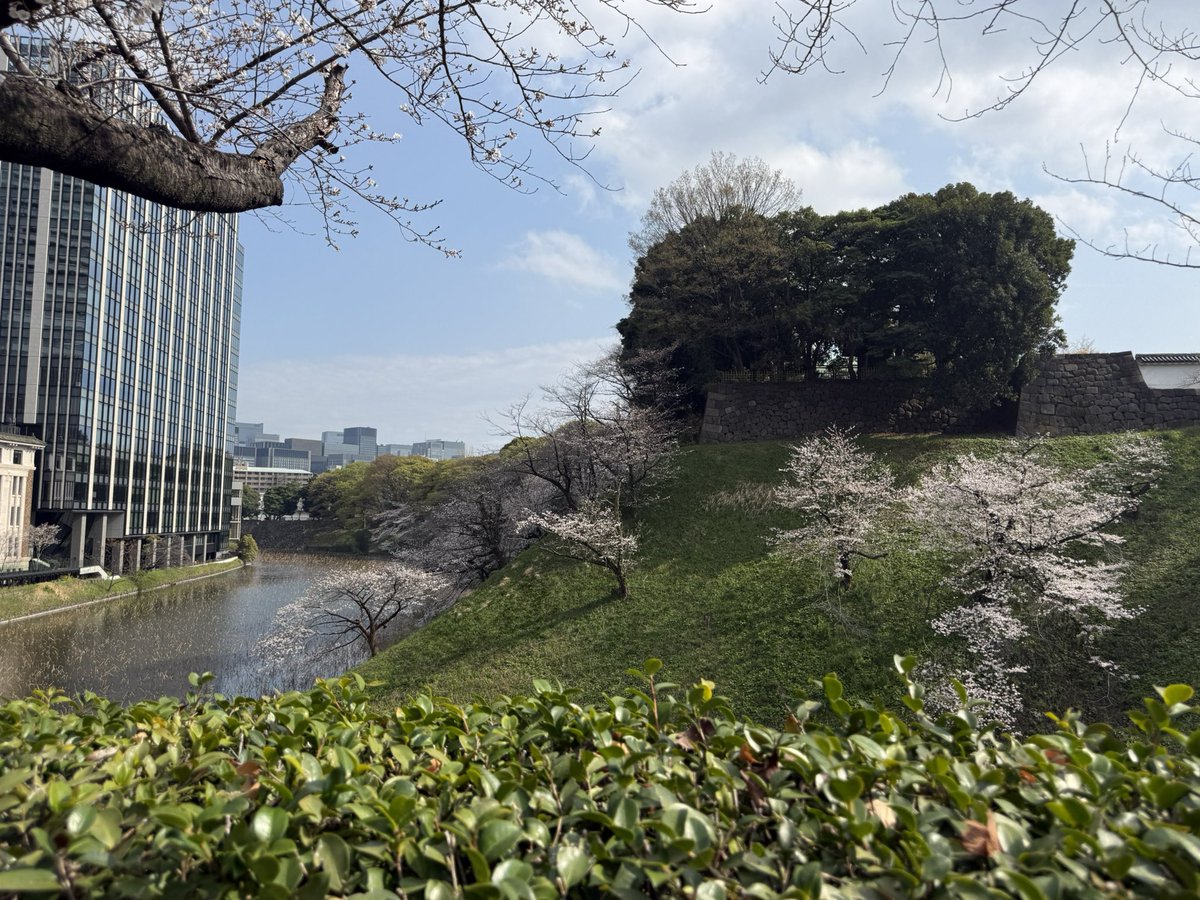 cazuhiko🎨|プロダクトデザイナー tweet media