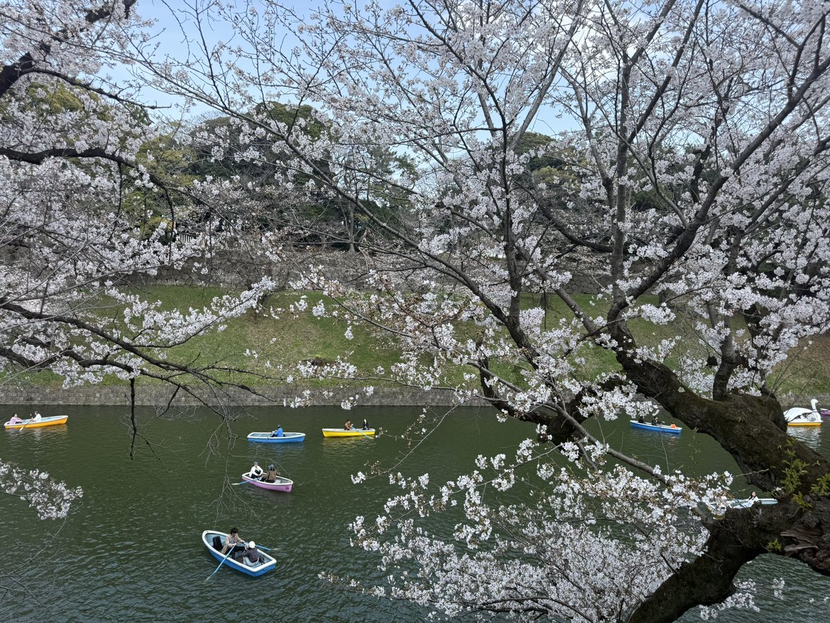 cazuhiko🎨|プロダクトデザイナー tweet media