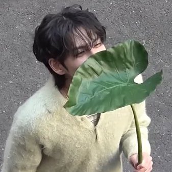 데깅이 tweet media