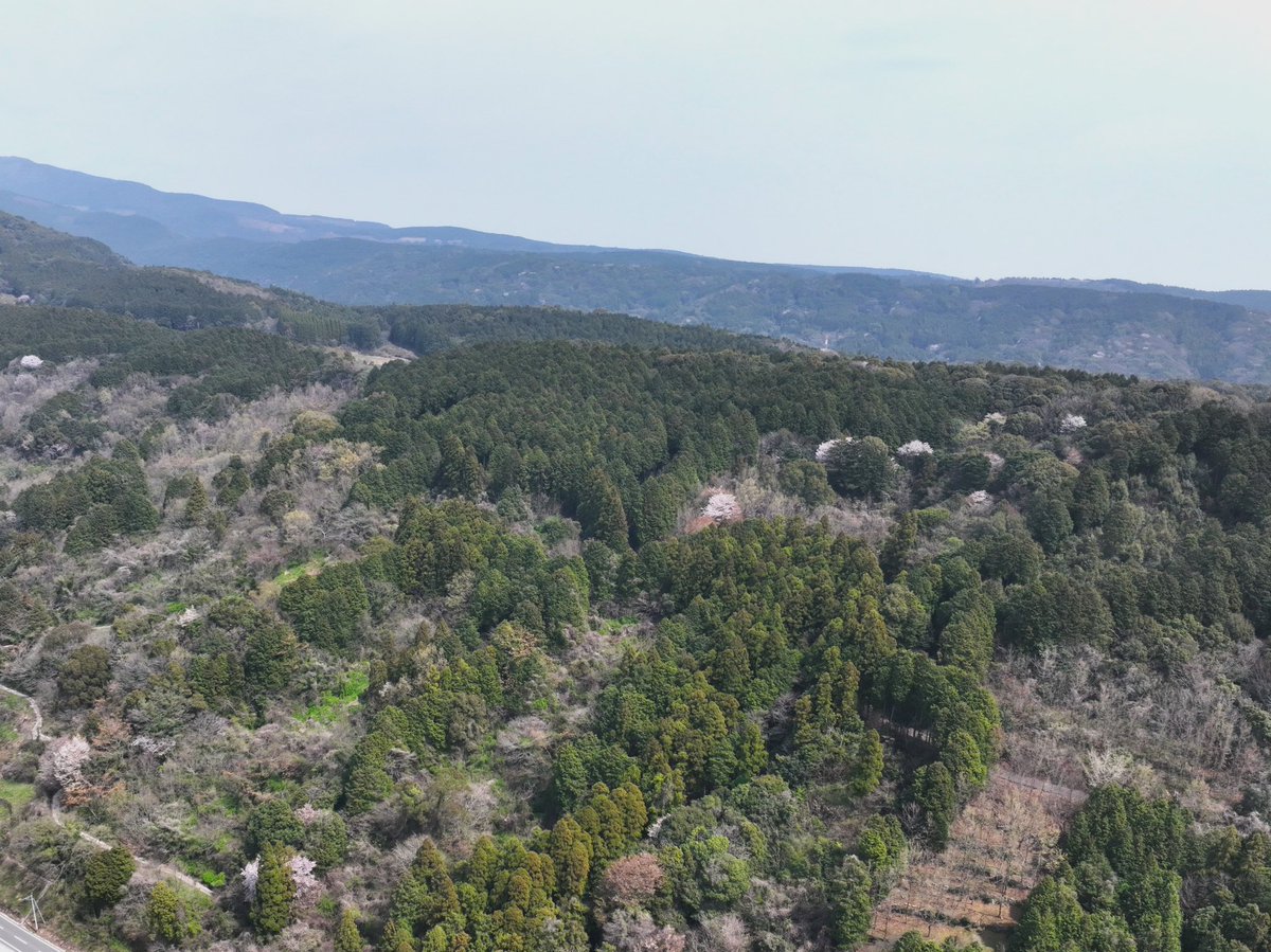 【公式】アスキム株式会社＠広報部 tweet media