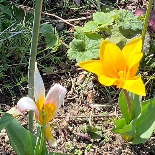 青谷高志 tweet media