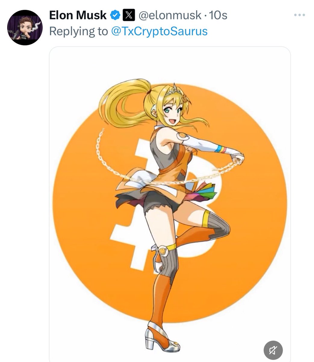 The Bull Market is back ! 

Bitcoin 🚀