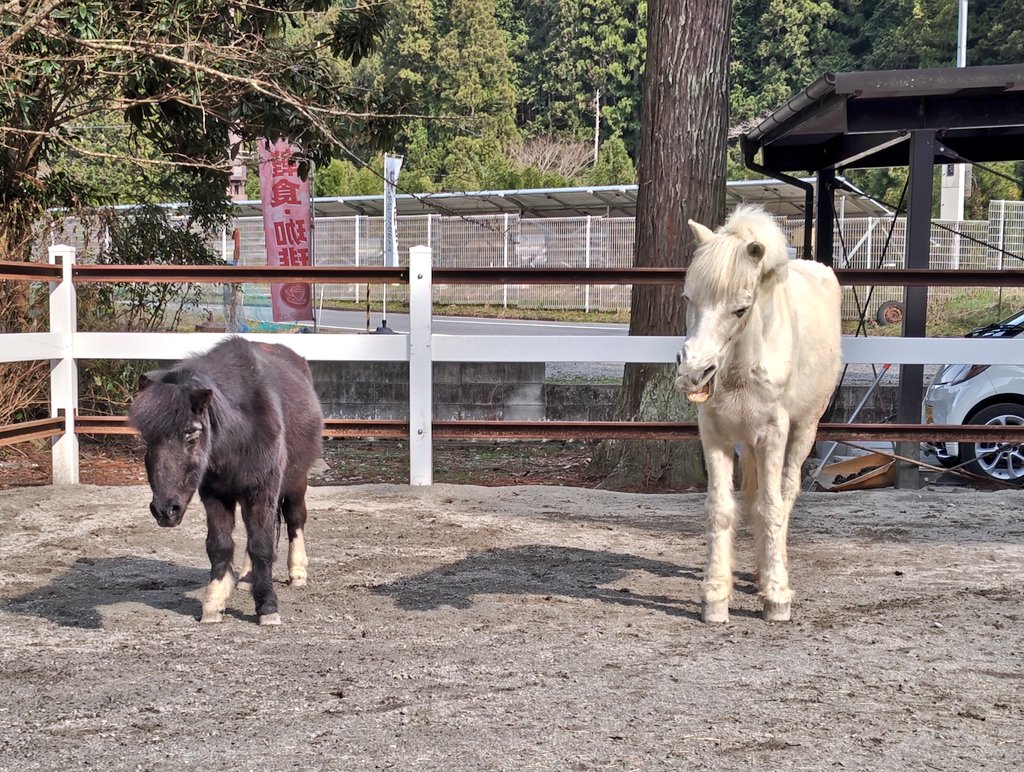 サニー tweet media