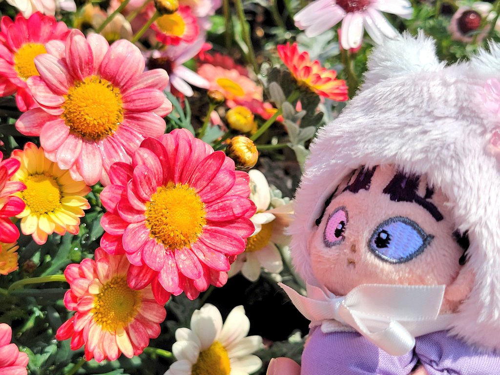 ぴぬん tweet media