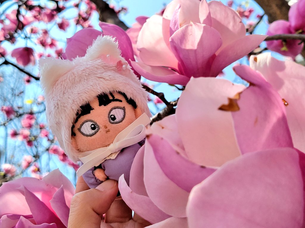 ぴぬん tweet media