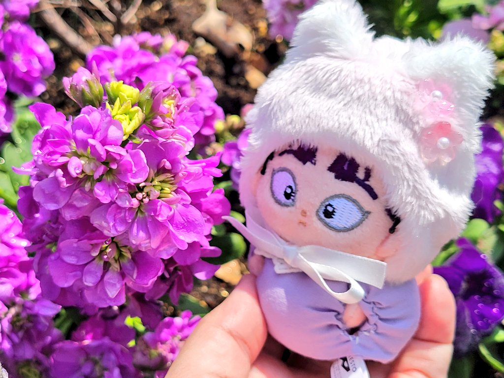 ぴぬん tweet media