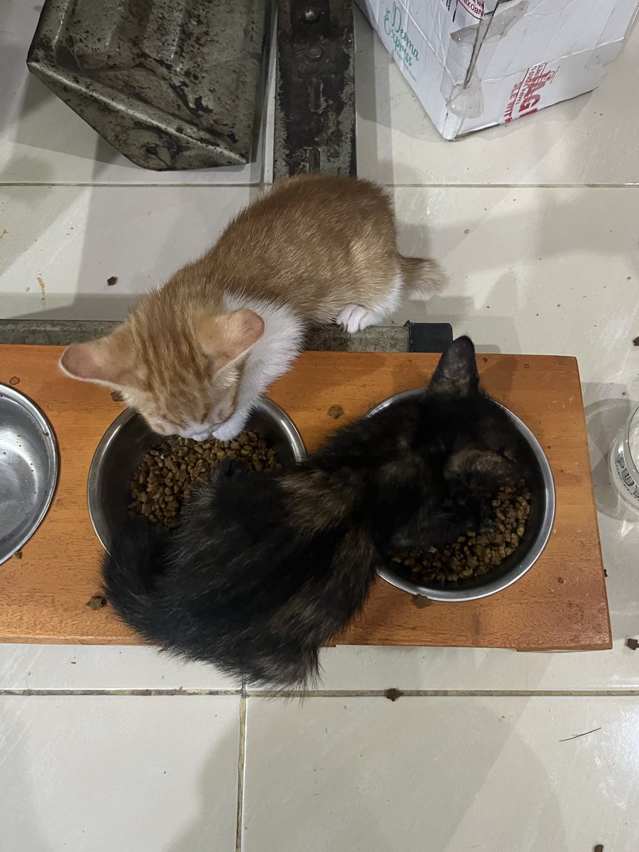 りりえ tweet media