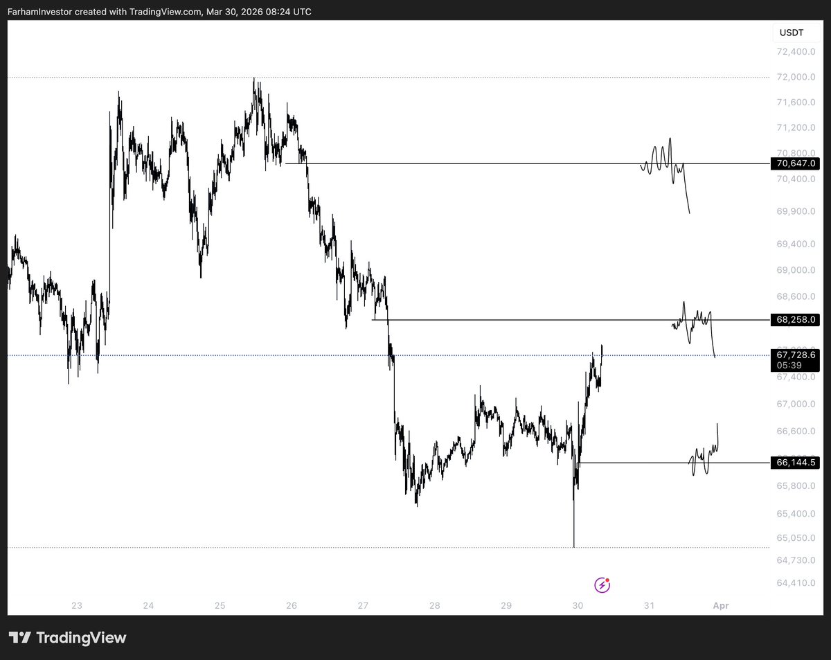 Raizelxbt tweet media