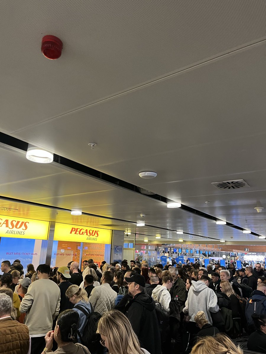 julius geiler tweet media