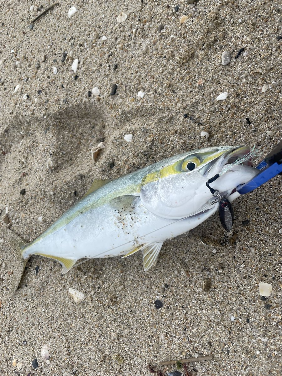 ヒロブン_105 tweet media