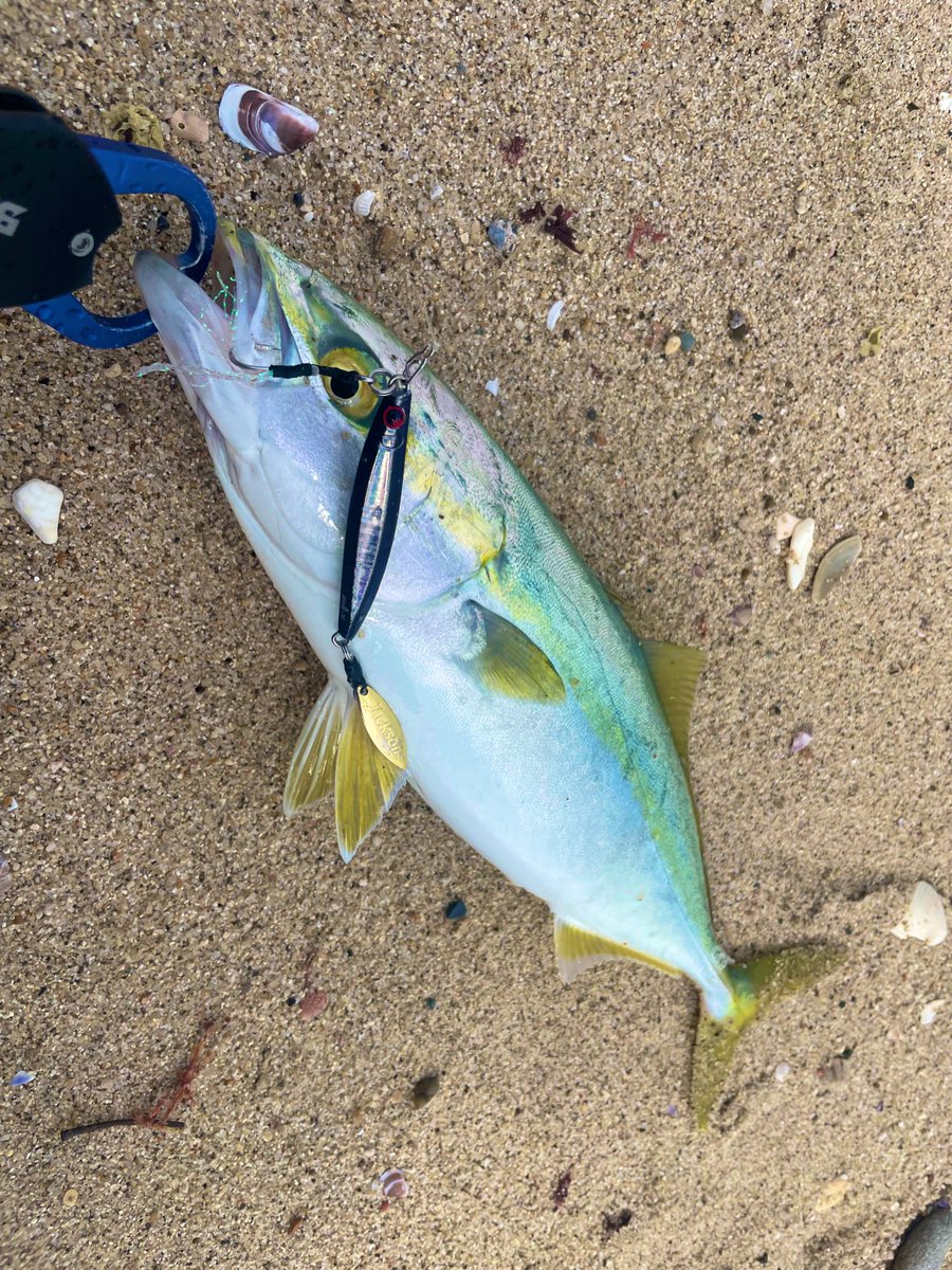 ヒロブン_105 tweet media