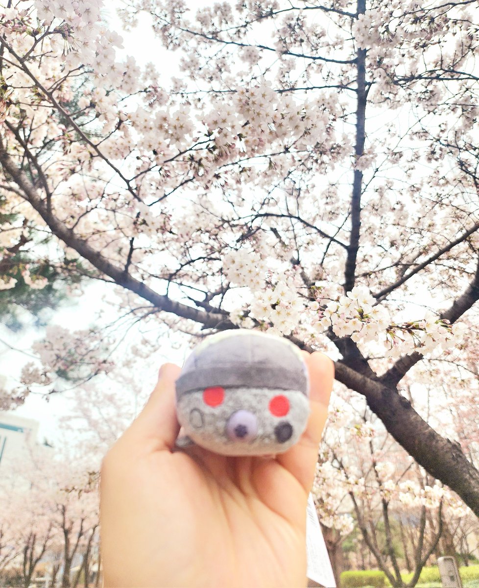 Fusil(퓨질) tweet media