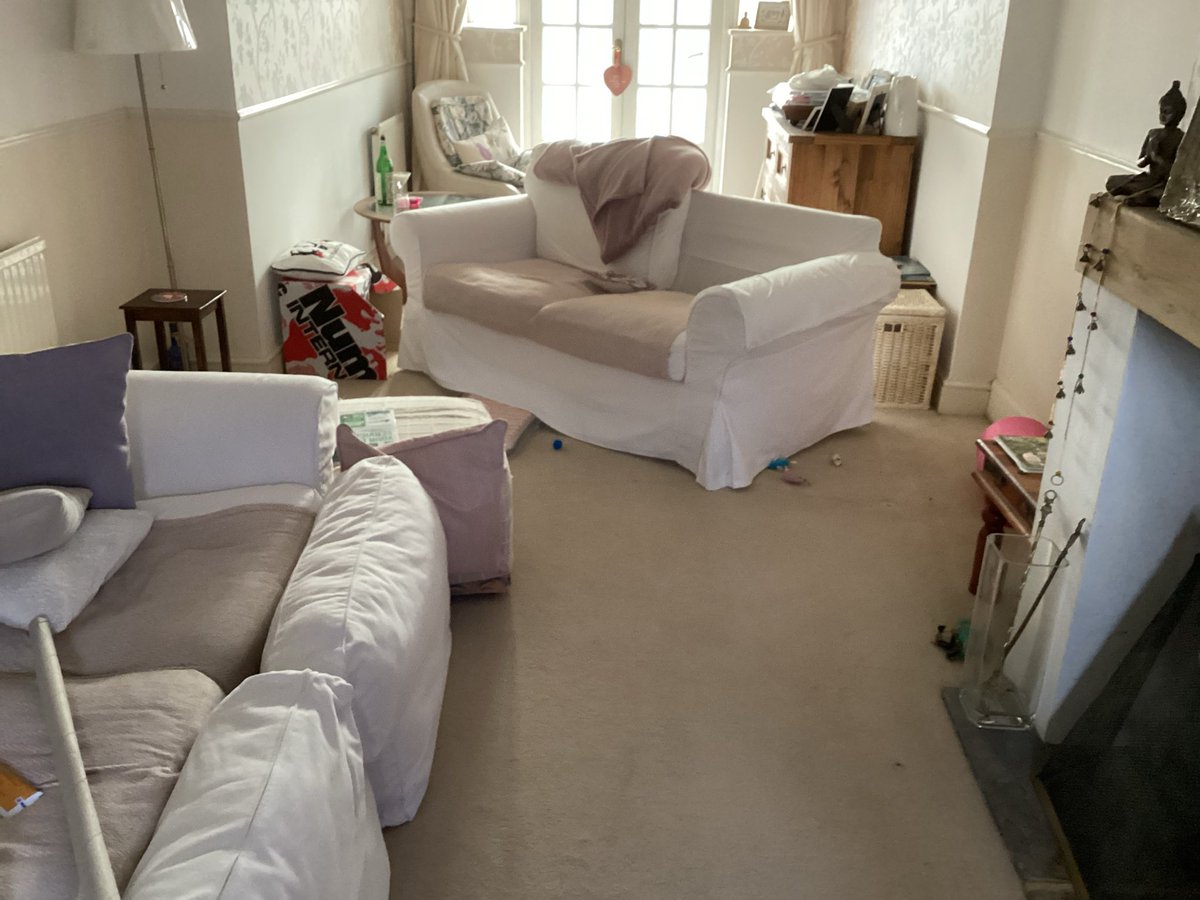 🐾 It's mees.....der Booboo 😻 tweet media