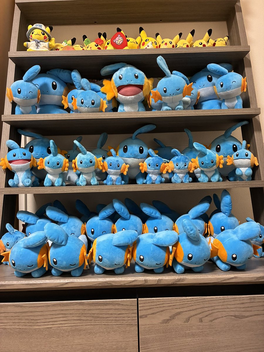 ✨ミズゴロウ要塞✨