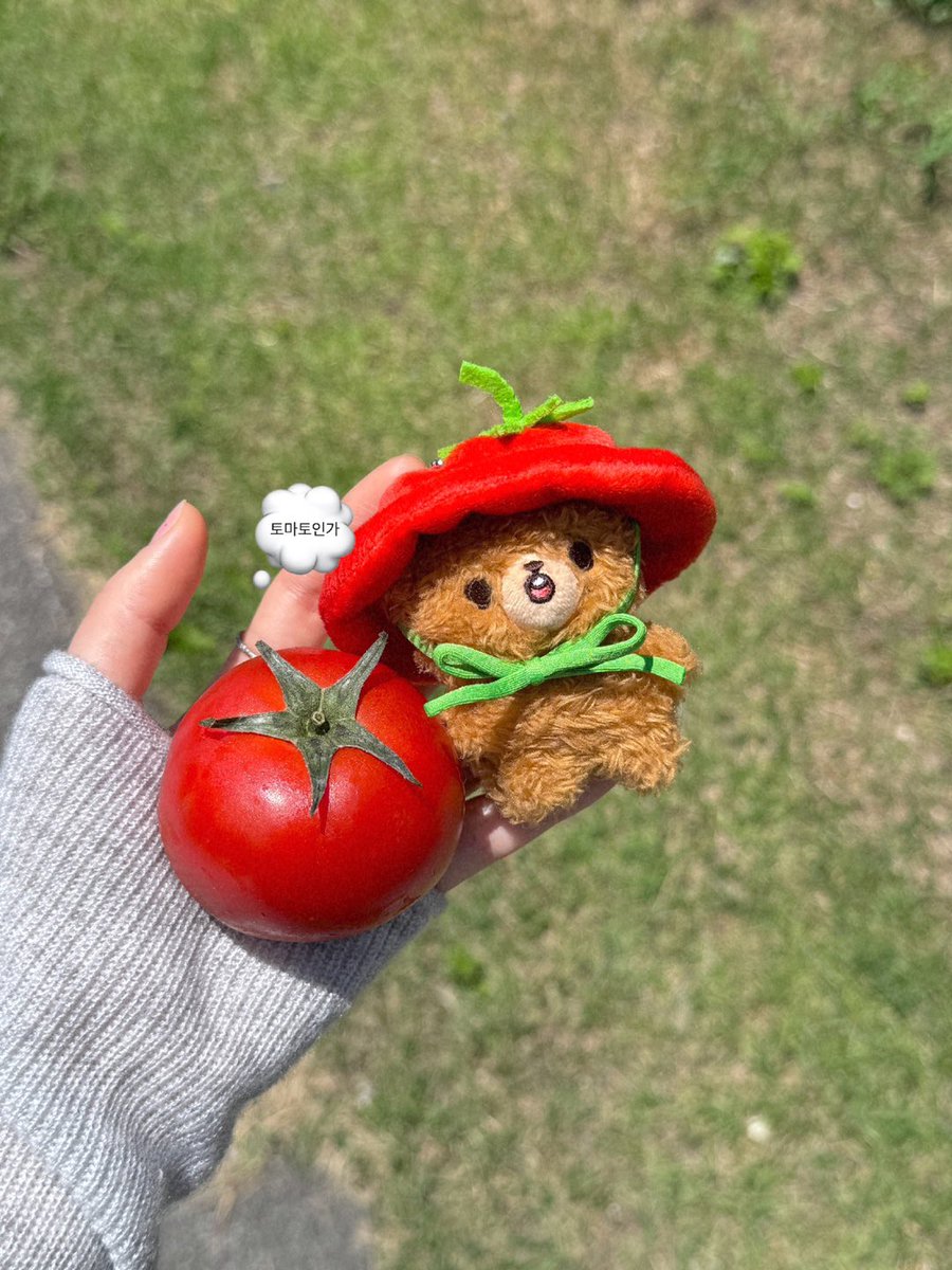 tbzyonghee's tweet photo. wts ph

nct haechan gomdo lee doll
— brand new and sealed
— onhand &amp; ready to ship

890php each + local sf

availability:
7cm tomdo - 3 stocks

mod: j&amp;t or sdd within mm https://t.co/InnDYI6tls