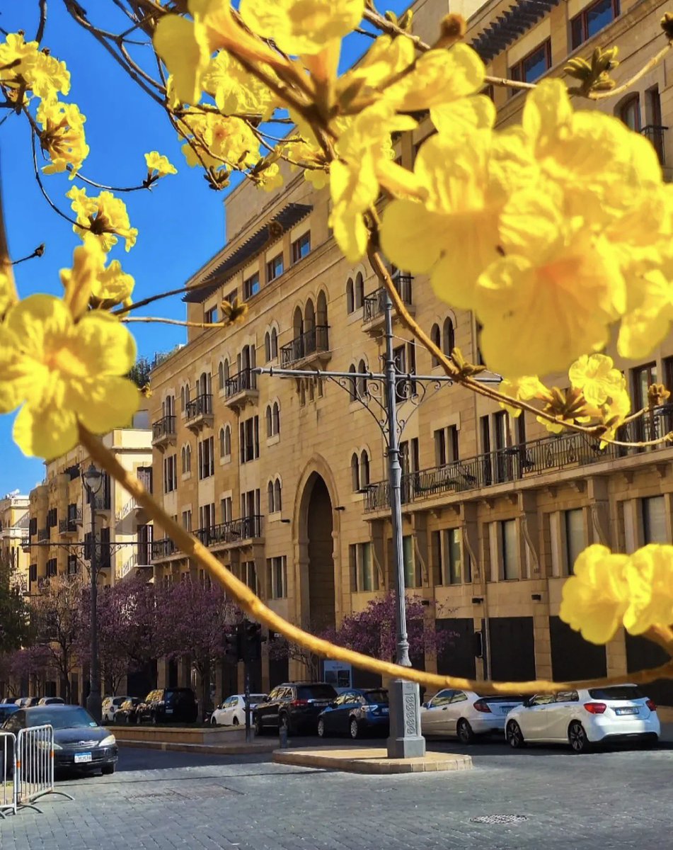 Arwa.M.Rifaii tweet media