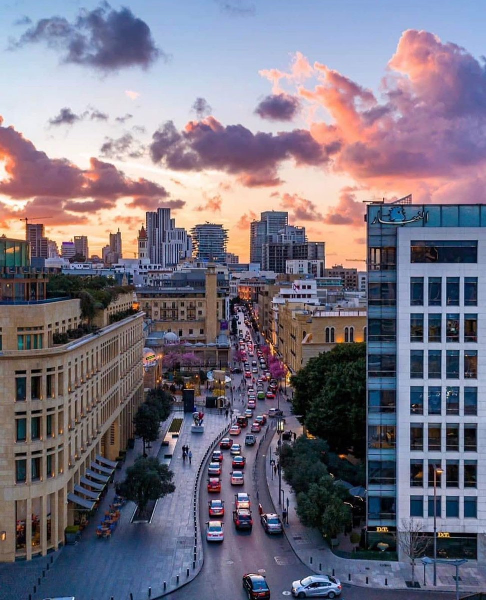 Arwa.M.Rifaii tweet media