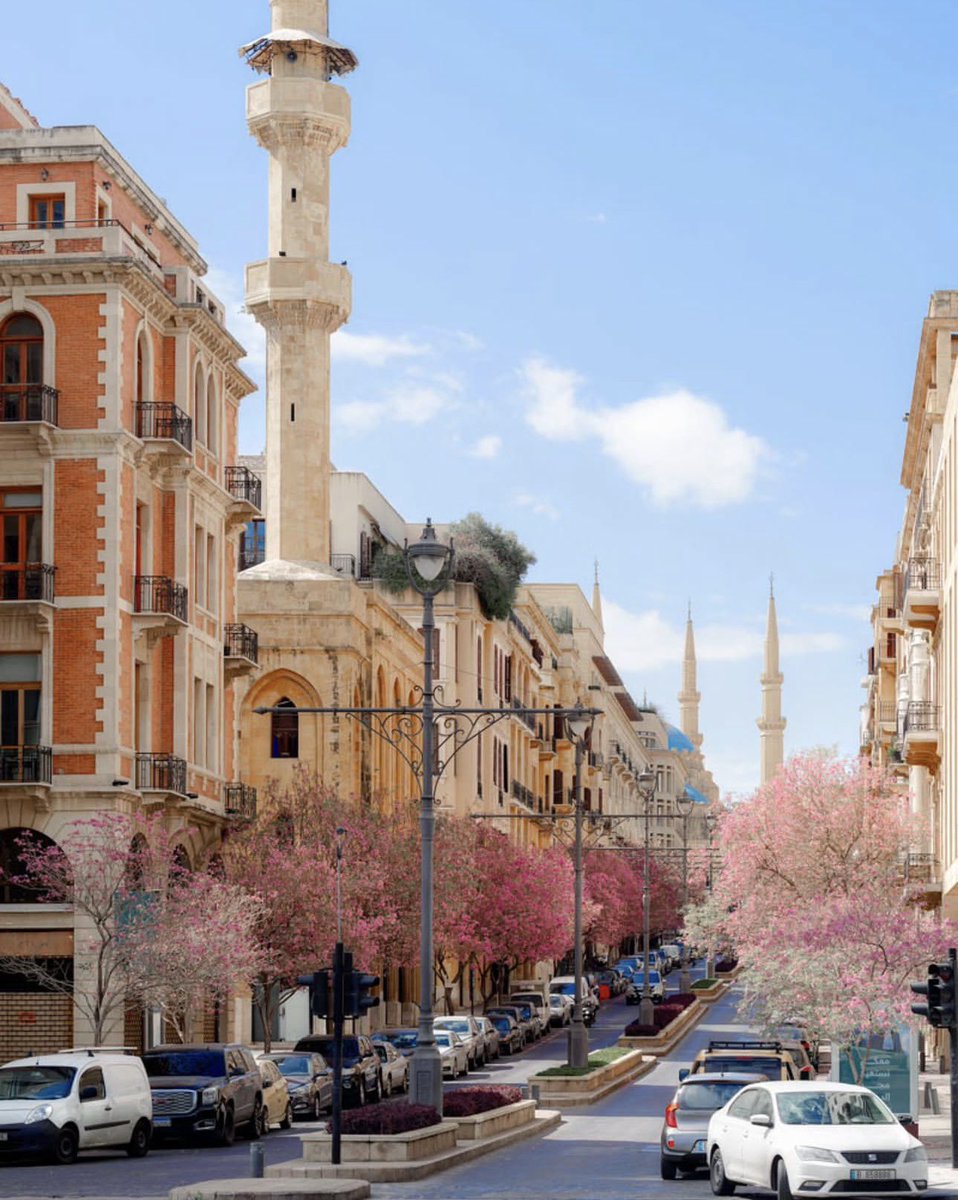 Arwa.M.Rifaii tweet media