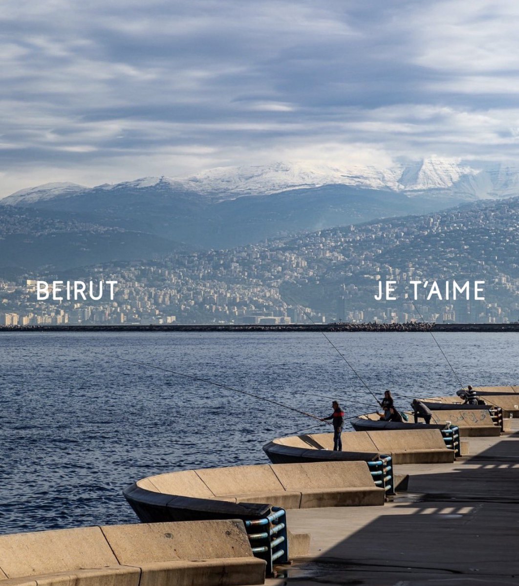 Arwa.M.Rifaii tweet media