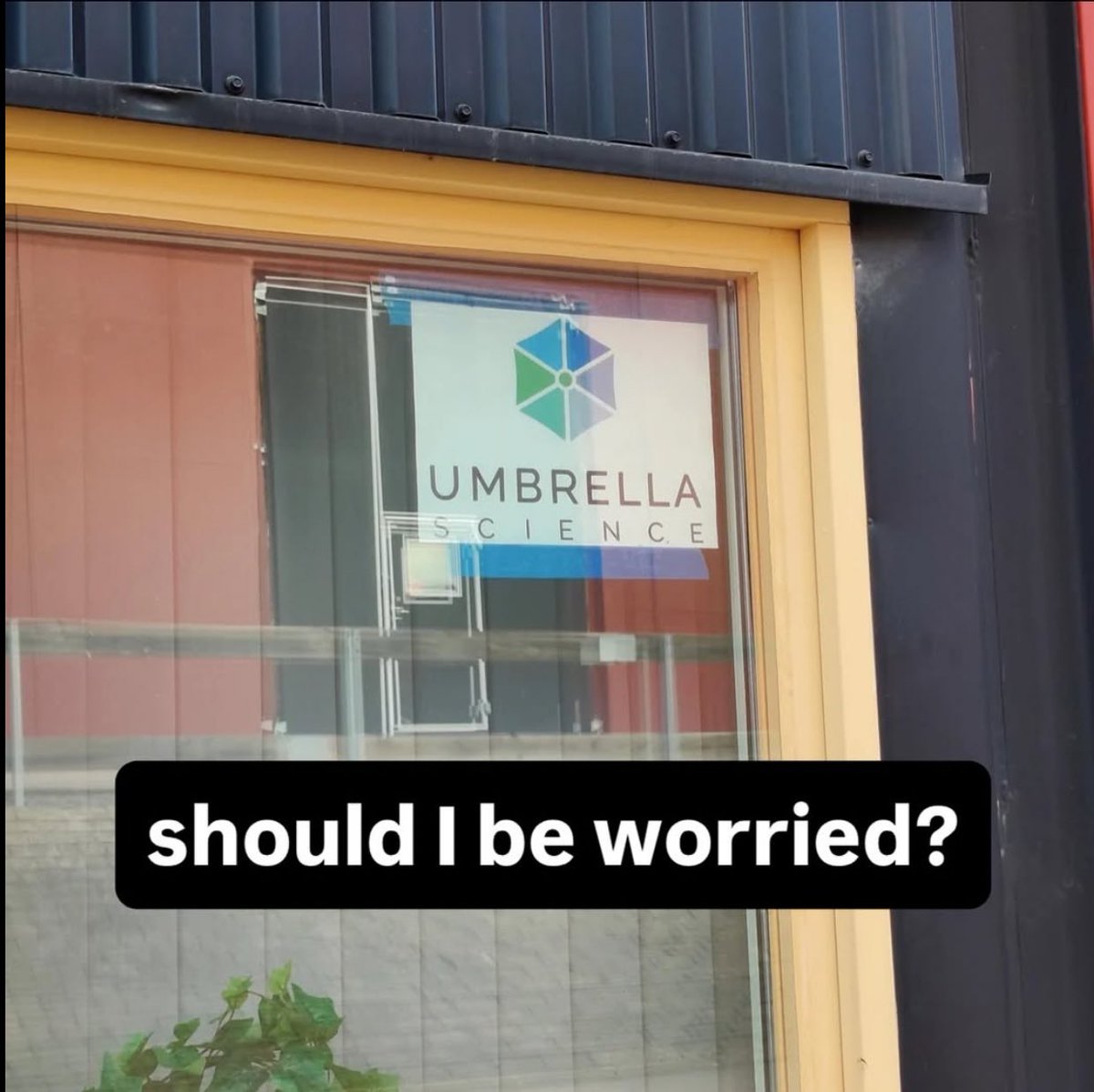 Ammar Of Rivia tweet media