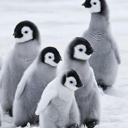 Jimmyc81 tweet media