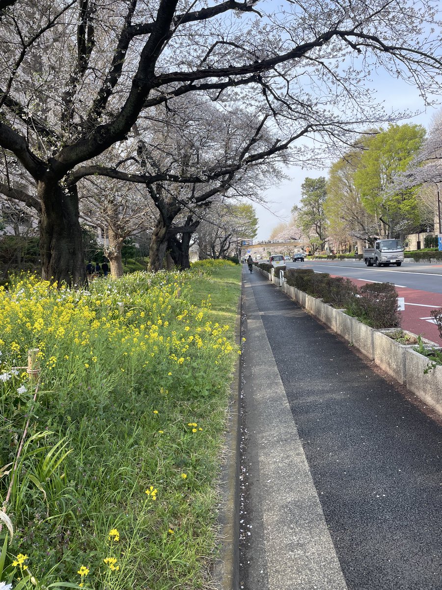 こだま和文 tweet media