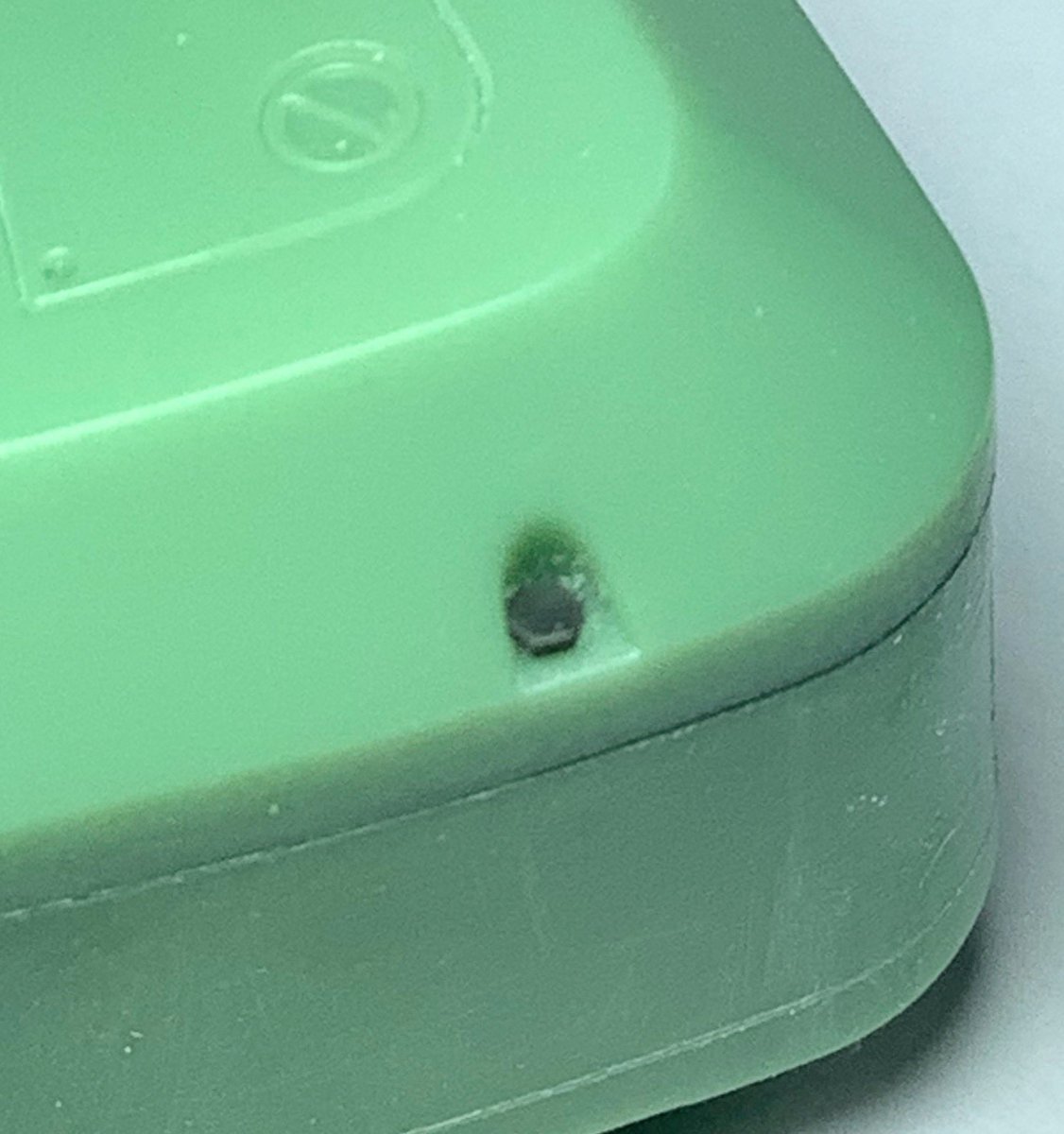 ウメモッチ🐾 tweet media