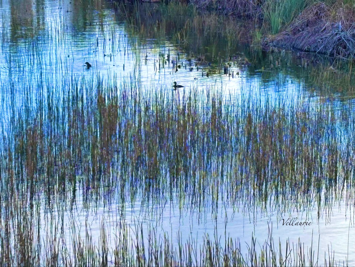 Vijay Ellaurie tweet media