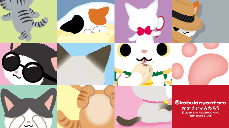 ボクを探してくださいにゃ！