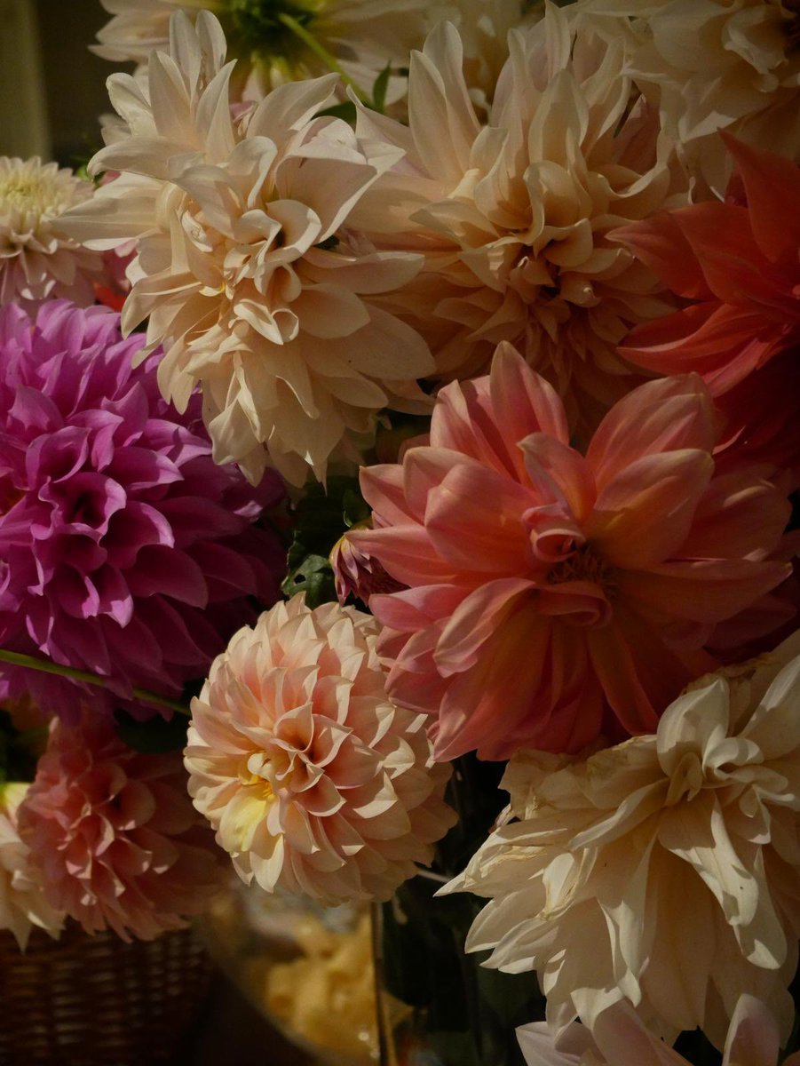 Jimmy Barnes tweet media